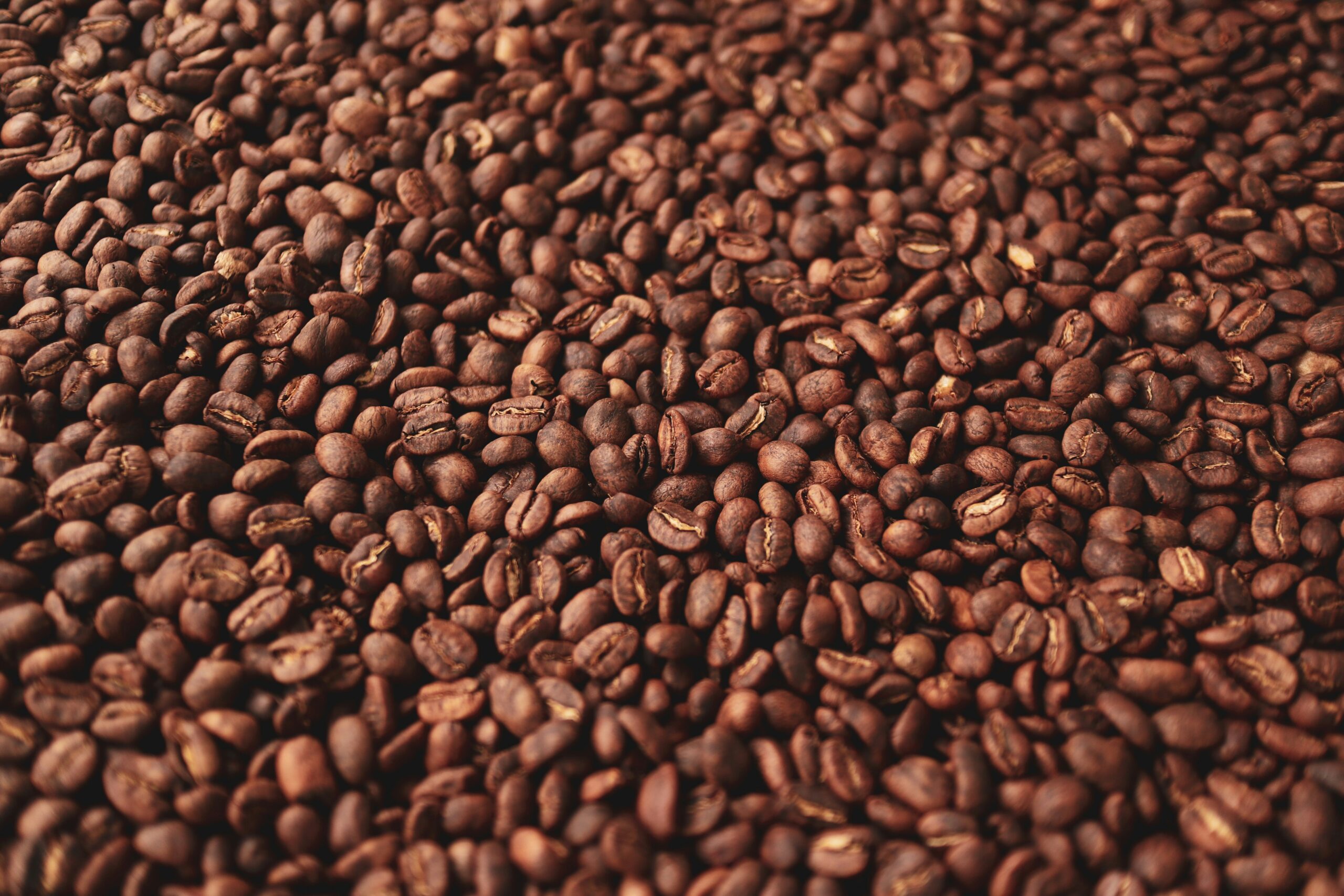 Best coffee beans for beginners — light roast coffee beans with bright fruity flavor